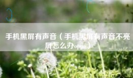 手机黑屏有声音（手机黑屏有声音不亮屏怎么办oppo）