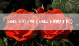 600以下的手机（600以下的好手机）