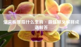 受夹板罪指什么生肖·最佳释义解释成语解答