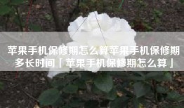 苹果手机保修期怎么算苹果手机保修期多长时间「苹果手机保修期怎么算」