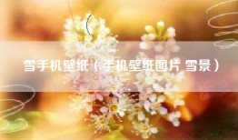 雪手机壁纸（手机壁纸图片 雪景）
