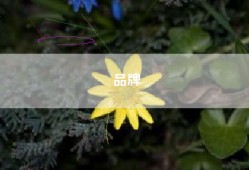 品牌