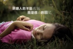 2024年广播电视编辑记者《广播电视业务》每日一练试题11月20日