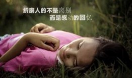 2024年广播电视编辑记者《广播电视业务》每日一练试题11月20日