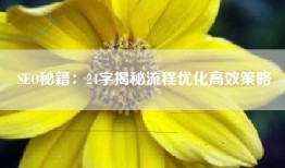SEO秘籍：24字揭秘流程优化高效策略