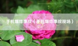 手机爆炸事故（手机爆炸事故现场）