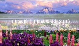手机转接（手机转接头怎么用）