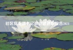 社区党支部书记抓党建述职报告2024