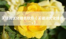 关键词优化排名软件（关键词优化排名seo）