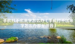手机打不出来字怎么办（手机打不出来字怎么办都是拼音）