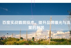 百度实战霸屏技术，提升品牌曝光与流量的利器