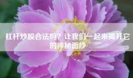 杠杆炒股合法吗？让我们一起来揭开它的神秘面纱