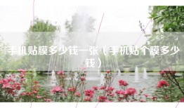 手机贴膜多少钱一张（手机贴个膜多少钱）