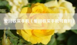 爱回收买手机（爱回收买手机可靠吗）