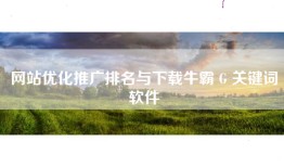 网站优化推广排名与下载牛霸 G 关键词软件