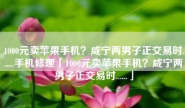 1000元卖苹果手机？咸宁两男子正交易时......手机修理「1000元卖苹果手机？咸宁两男子正交易时......」