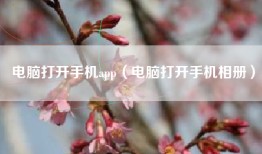 电脑打开手机app（电脑打开手机相册）