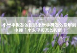 小米平板怎么投屏小米手机怎么投屏到电视「小米平板怎么投屏」