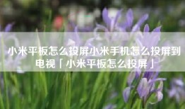 小米平板怎么投屏小米手机怎么投屏到电视「小米平板怎么投屏」