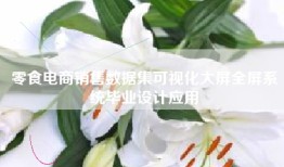 零食电商销售数据集可视化大屏全屏系统毕业设计应用