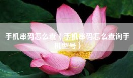 手机串码怎么查（手机串码怎么查询手机型号）