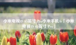 小米电视4S 65英寸 Pro小米手机4s「小米电视4S 65英寸 Pro」