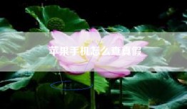 苹果手机怎么查真假