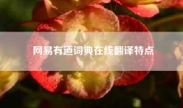 网易有道词典在线翻译特点