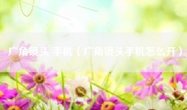 广角镜头 手机（广角镜头手机怎么开）