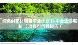 铜溅射靶材项目商业计划书-中金企信编制 （项目可行性报告）