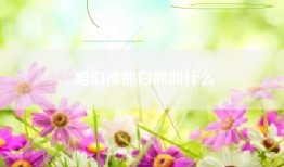 咱们裸熊白熊叫什么
