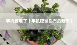 手机膜爆了（手机膜破裂有危险吗）