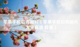 苹果手机后壳图片（苹果手机后壳图片大全高清 背面）