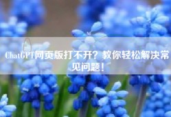 ChatGPT网页版打不开？教你轻松解决常见问题！