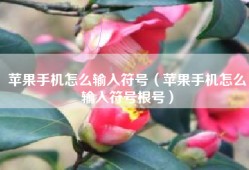 苹果手机怎么输入符号（苹果手机怎么输入符号根号）