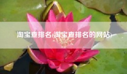 淘宝查排名(淘宝查排名的网站)