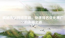 揭秘高效网络营销，快速排名优化推广的逐福之道