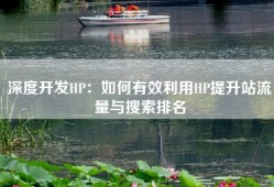 深度开发HP：如何有效利用HP提升站流量与搜索排名