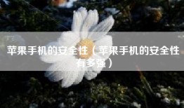 苹果手机的安全性（苹果手机的安全性有多强）