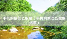 手机购票怎么取票（手机购票怎么取票退票）