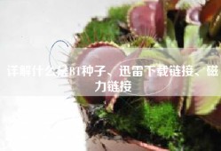 详解什么是BT种子、迅雷下载链接、磁力链接