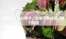 详解什么是BT种子、迅雷下载链接、磁力链接
