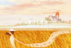 h5是什么意思