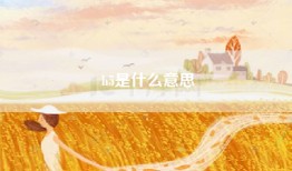 h5是什么意思