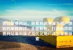 搭建收费网站，探索利润来源与用户体验的策略探讨，全面解析，打造高效收费网站盈利模式及优化用户体验策略探索