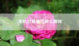 手机百度插件肿么删除