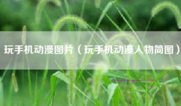 玩手机动漫图片（玩手机动漫人物简图）