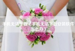 手机无法下载（手机无法下载安装软件怎么办）
