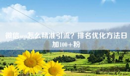 微信seo怎么精准引流？排名优化方法日加100+粉