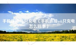 手机连接usb只充电（手机连接usb只充电怎么回事）